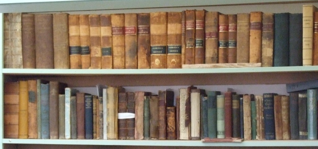 Books and ledgers line the sehlves of the Chestico Archives