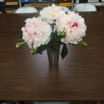 Thank you to Walter & Mary for bringing us these beautiful peonies!